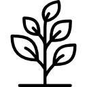 Icon of plant