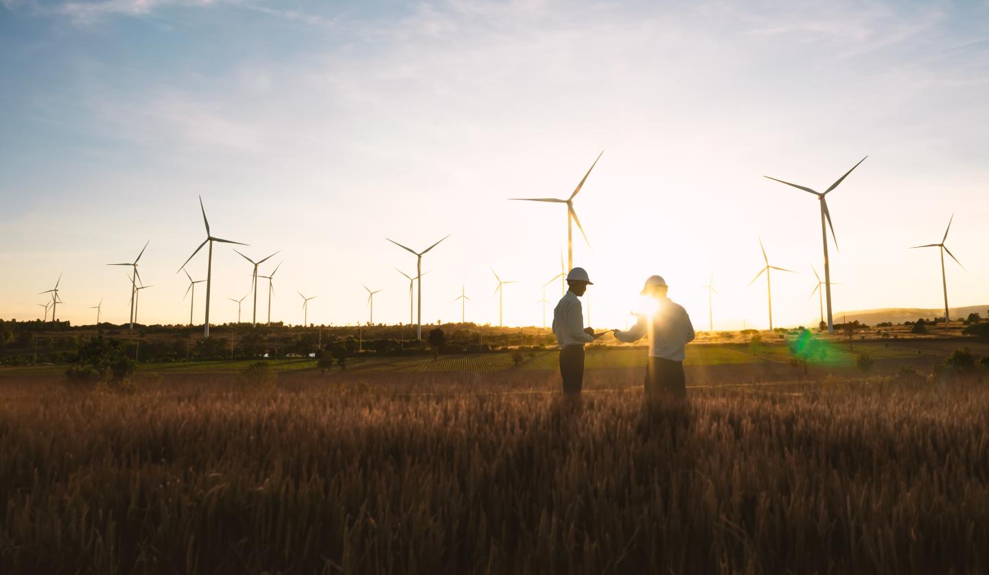 Wind turbines in field