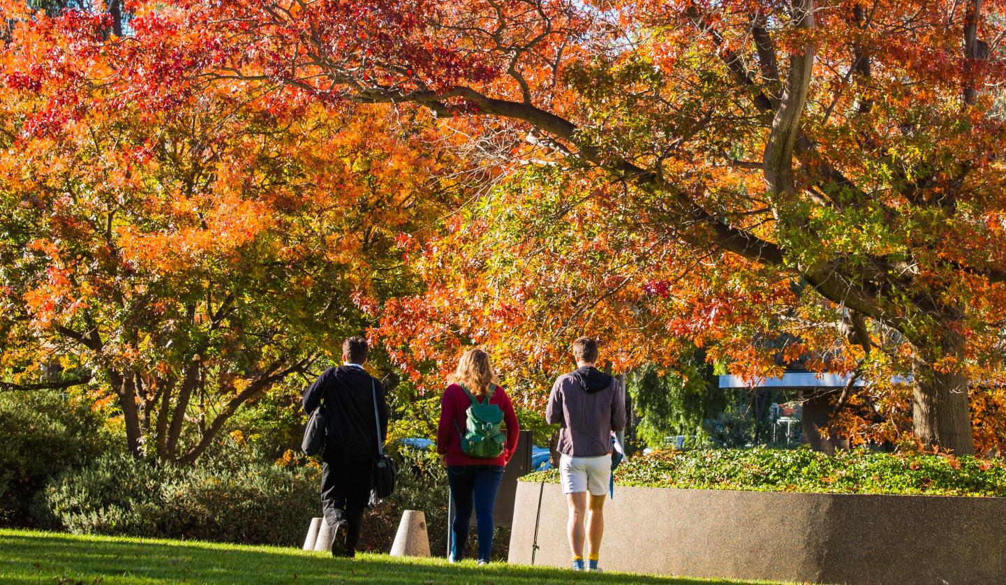 Image of autumn trees on ANU campus