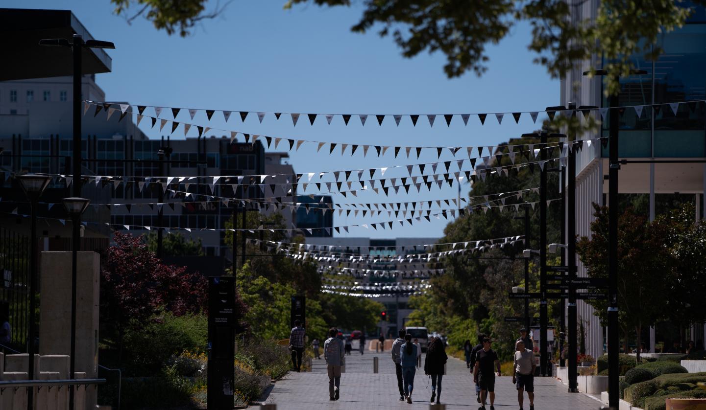 Photo of ANU branded bunting in Kambri Precinct