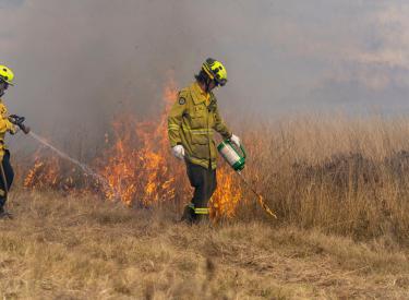 Controlled burn at a Bushfire Research Centre of Excellence field day, Spring Valley farm, the Australian National University