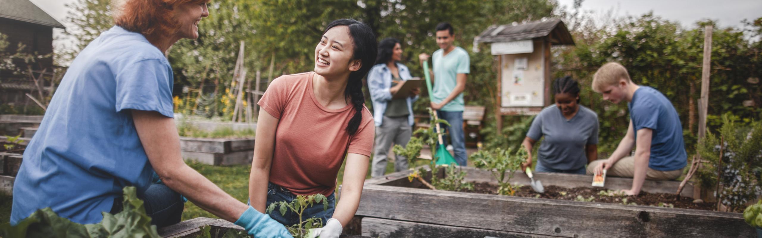 building a community garden