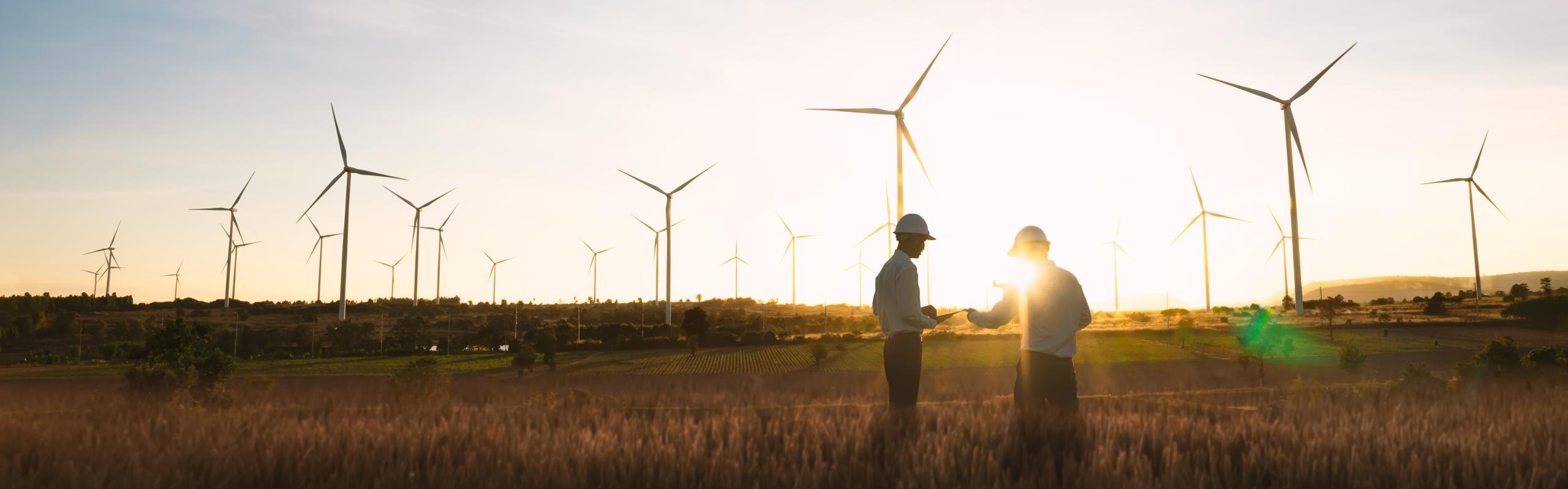 Wind turbines in field