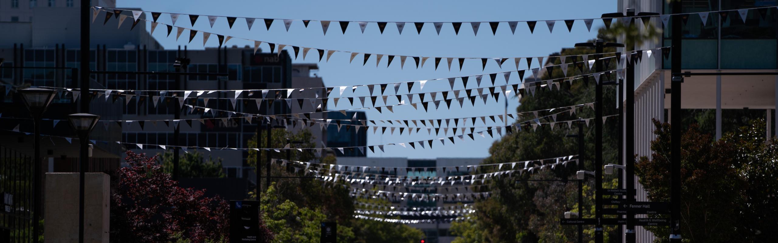 Photo of ANU branded bunting in Kambri Precinct